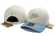 Nike Snapback Hat (39)