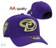 MLB Arizona Diamondbacks Snapback Hat (41)