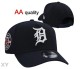 MLB Detroit Tigers Snapback Hat (112)