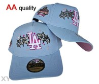 MLB Los Angeles Dodgers Snapback Hat (685)