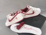 Nike Dunk SB Low AAA (100)