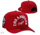 MLB Los Angeles Dodgers Snapback Hat (711)