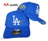 MLB Los Angeles Dodgers Snapback Hat (673)