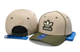 AD Snapback Hat (31)