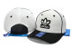 AD Snapback Hat (25)