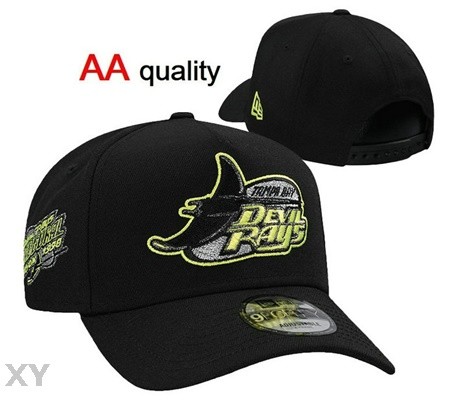 MLB Tampa Bay Rays Snapback Hat (22)
