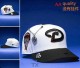 MLB Arizona Diamondbacks Snapback Hat (44)