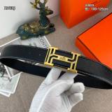 Hermes Blet AAA(11)