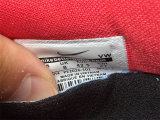 Authentic Nike Kobe 6 PE Silver/Red/Black
