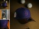 MLB Detroit Tigers Snapback Hat (117)