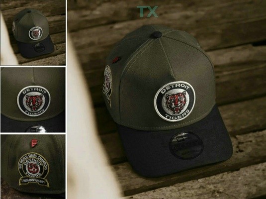 MLB Detroit Tigers Snapback Hat (114)