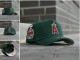 MLB Los Angeles Angels Snapback Hat (121)
