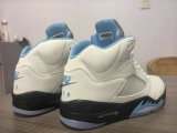 Air Jordan 5 Shoes AAA (137)