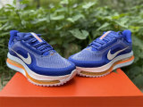 Nike Pegasus Premium（19）