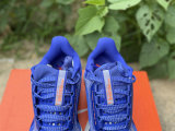 Nike Pegasus Premium（19）