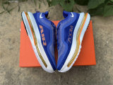 Nike Pegasus Premium（19）