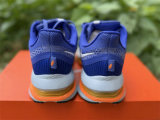Nike Pegasus Premium（19）