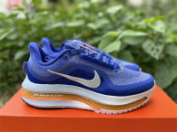 Nike Pegasus Premium（19）