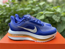 Nike Pegasus Premium(19) Nike Pegasus Premium(19)