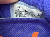 Nike Pegasus Premium（19）