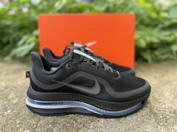 Nike Pegasus Premium(20)