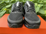 Nike Pegasus Premium（20）