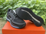 Nike Pegasus Premium（20）