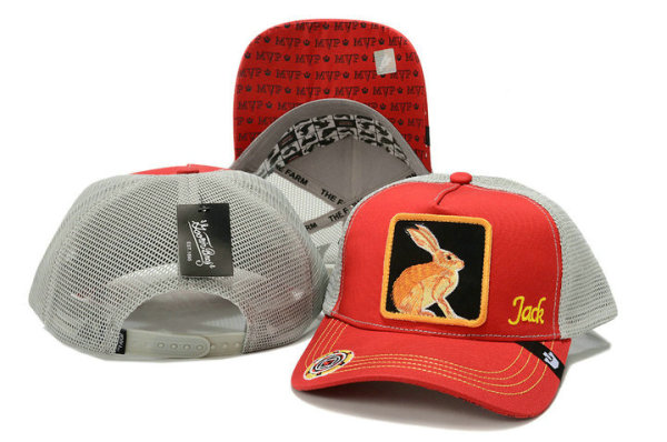 Goorin Bros Snapback Hat (42)
