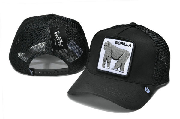 Goorin Bros Snapback Hat (19)