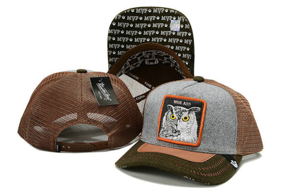 Goorin Bros Snapback Hat (27)