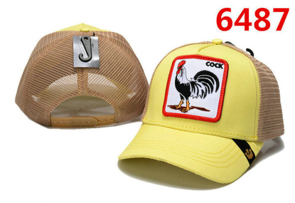 Goorin Bros Snapback Hat (28)