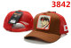 Goorin Bros Snapback Hat (26)
