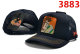 Goorin Bros Snapback Hat (9)