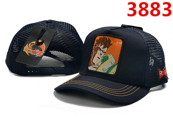 Goorin Bros Snapback Hat (9)