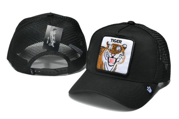 Goorin Bros Snapback Hat (33)