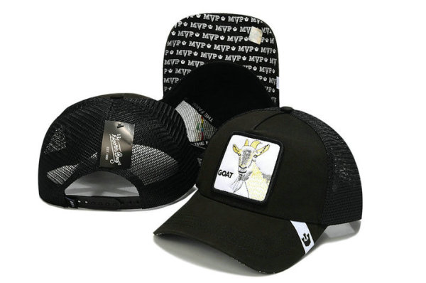 Goorin Bros Snapback Hat (47)