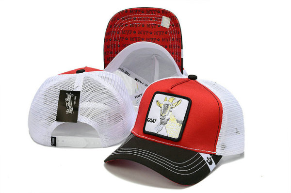Goorin Bros Snapback Hat (10)