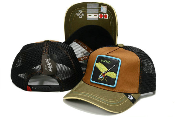 Goorin Bros Snapback Hat (45)