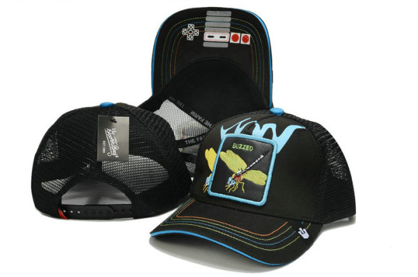 Goorin Bros Snapback Hat (55)
