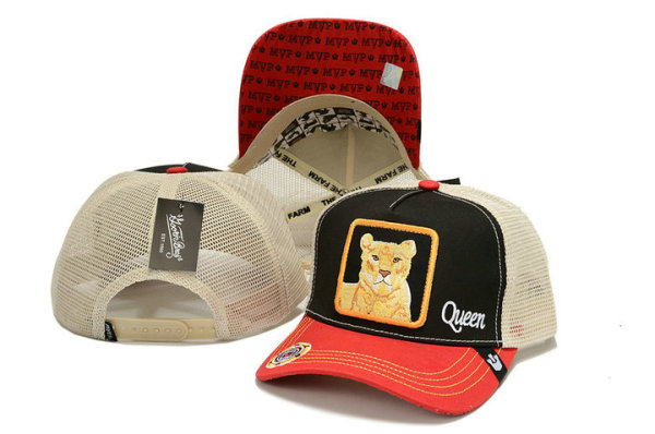 Goorin Bros Snapback Hat (48)