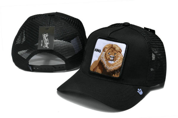 Goorin Bros Snapback Hat (36)