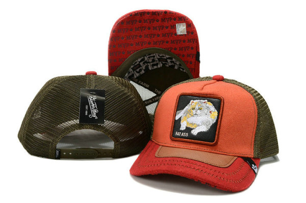 Goorin Bros Snapback Hat (66)