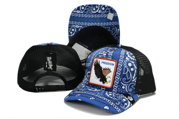 Goorin Bros Snapback Hat (20)