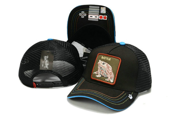 Goorin Bros Snapback Hat (38)