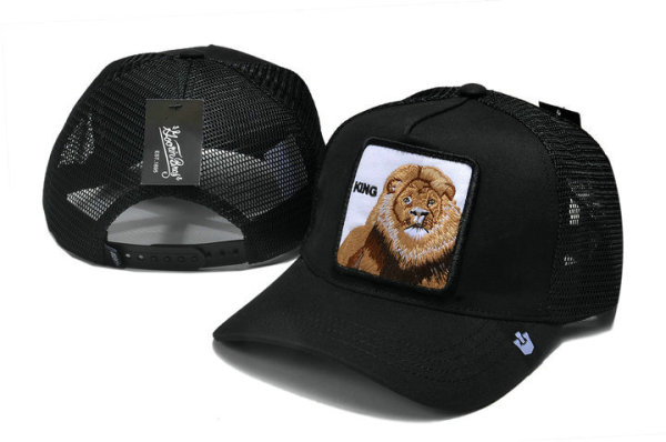 Goorin Bros Snapback Hat (3)