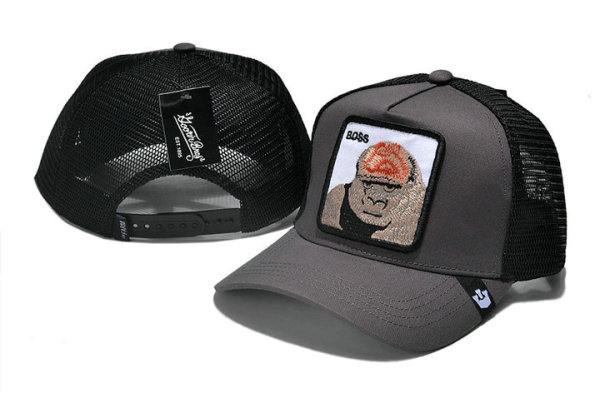 Goorin Bros Snapback Hat (68)