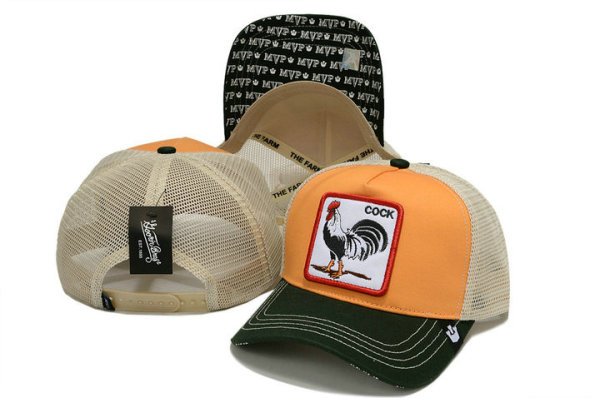 Goorin Bros Snapback Hat (30)