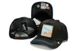Goorin Bros Snapback Hat (60)