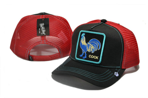 Goorin Bros Snapback Hat (62)
