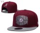 NCAA Alabama Crimson Tide Snapback Hat (21)